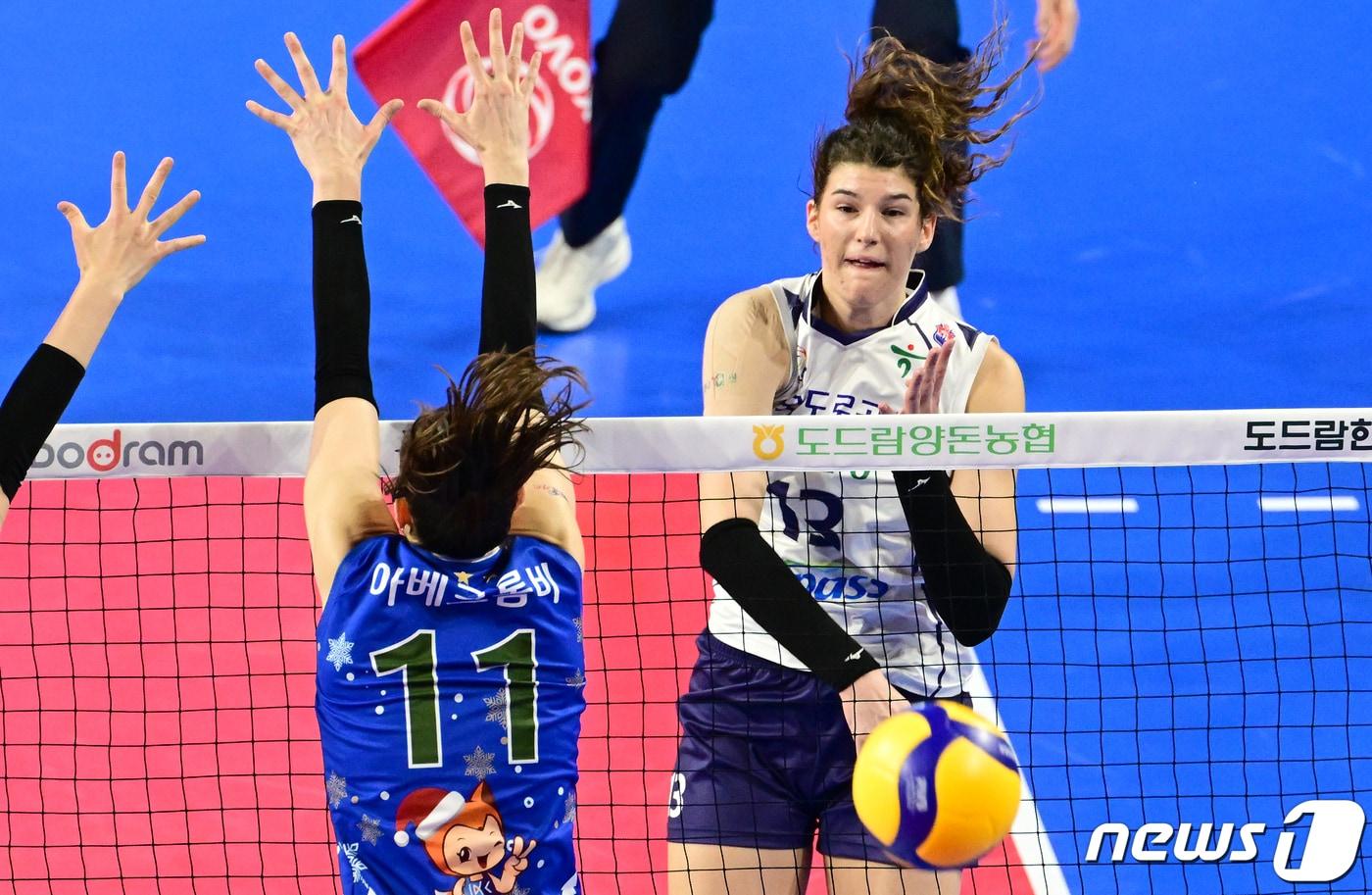 본문 이미지 - 도로공사 반야 부키리치 (한국배구연맹 제공)