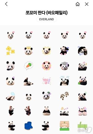 본문 이미지 - 에버랜드 쪼꼬미 판다 카카오 미니 이모티콘 (에버랜드 제공)