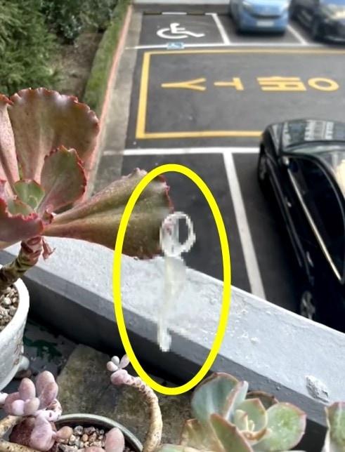 본문 이미지 - (JTBC '사건반장')