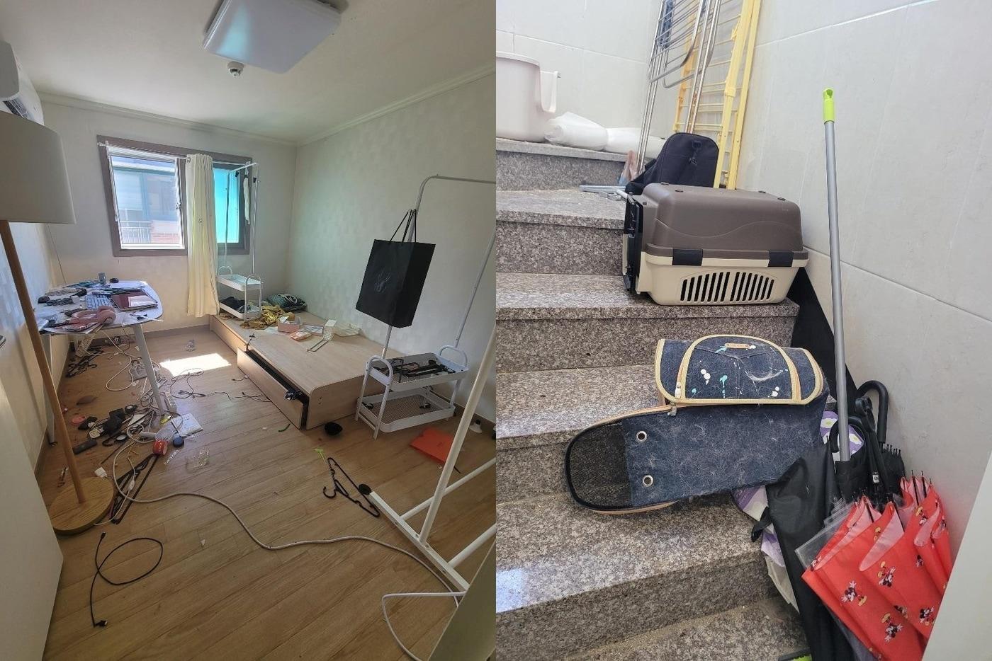 (보배드림 갈무리)