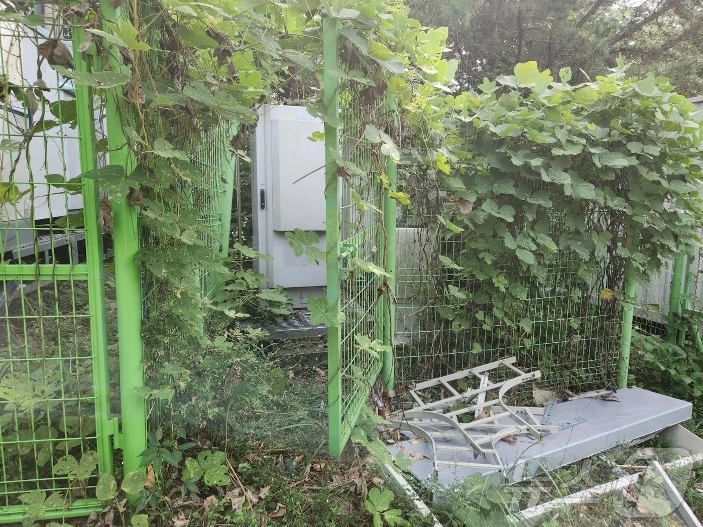 본문 이미지 - 전남 여수시 소라면 한 임야에 설치된 이동통신장비 기지국. 통신장비를 관리하는 업체 측이 토지 소유자와 계역없이 수년간 무상으로 사용하고 있다.(독자 제공)2024.10.11/뉴스1