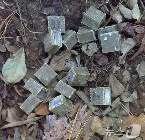 본문 이미지 -  광견병 미끼 예방약 (서울시 제공)