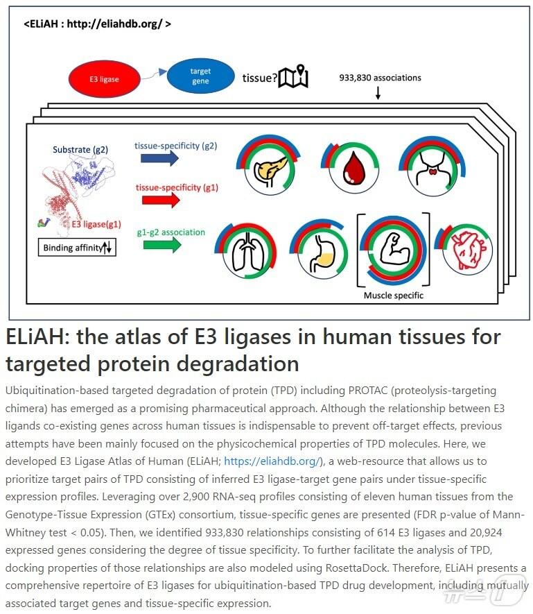 본문 이미지 - 연구 모식도 등. (KISTI 제공)/뉴스1