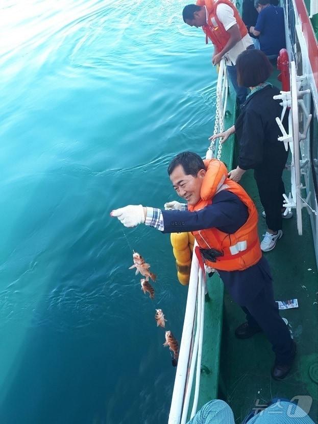 본문 이미지 - 홍도 불볼락 체험낚시 중인 관광객 (신안군 제공)/뉴스1 