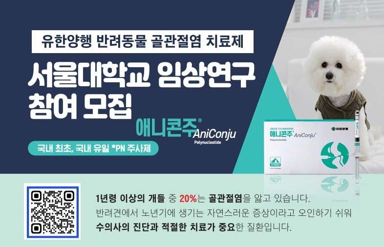 본문 이미지 - 애니콘주 안내문(유한양행 제공) ⓒ 뉴스1