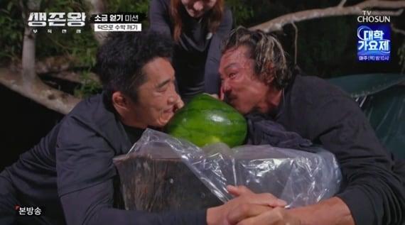 본문 이미지 - TV조선 '생존왕' 캡처