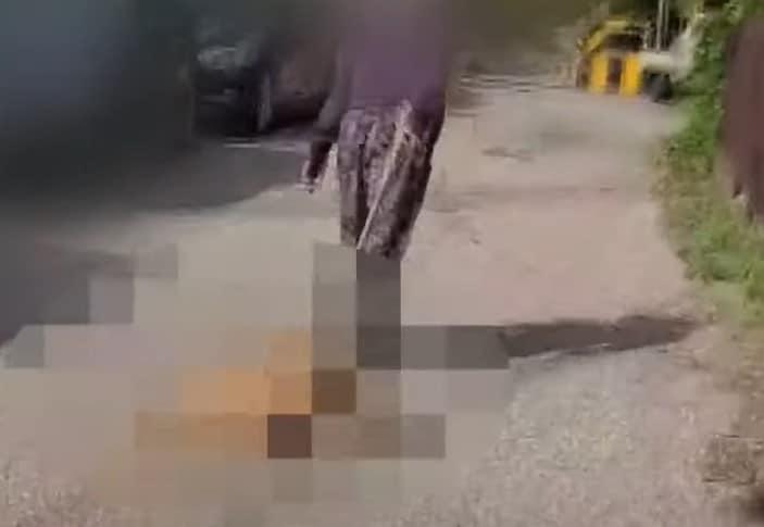 본문 이미지 - (JTBC '사건반장')