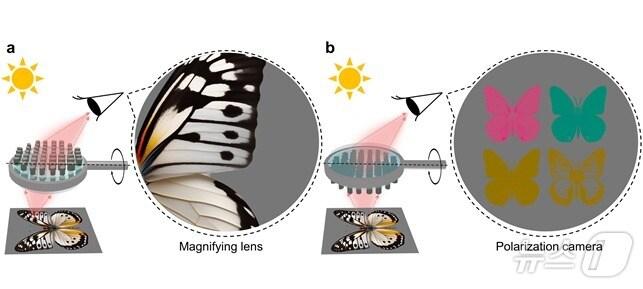 본문 이미지 - 빛이 입사되는 방향에 따라 독립적인 두 가지 기능을 하는 메타표면.&#40;KAIST 제공&#41;/뉴스1