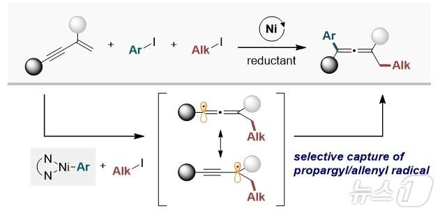 본문 이미지 - 1,3-인아인의 환원성 1,4-알킬아릴화 반응 모식도. (UNIST 제공)