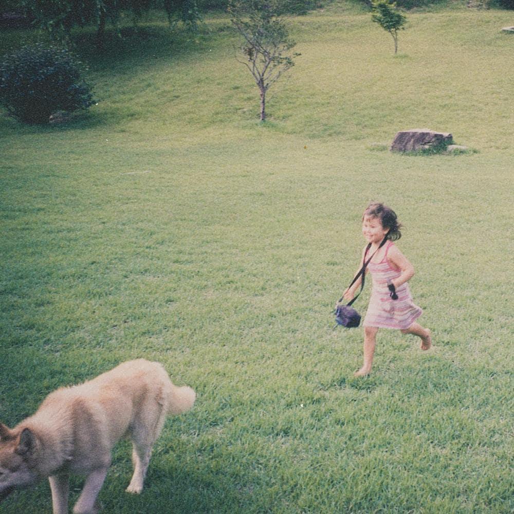 본문 이미지 - 엠플리파이 제공