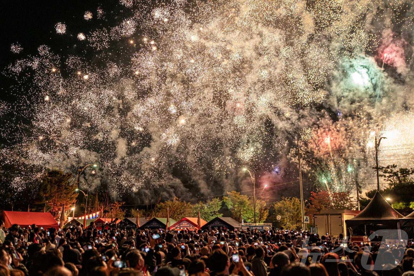 관악강감찬축제 불꽃놀이를 즐기는 주민들.(관악구청 제공)