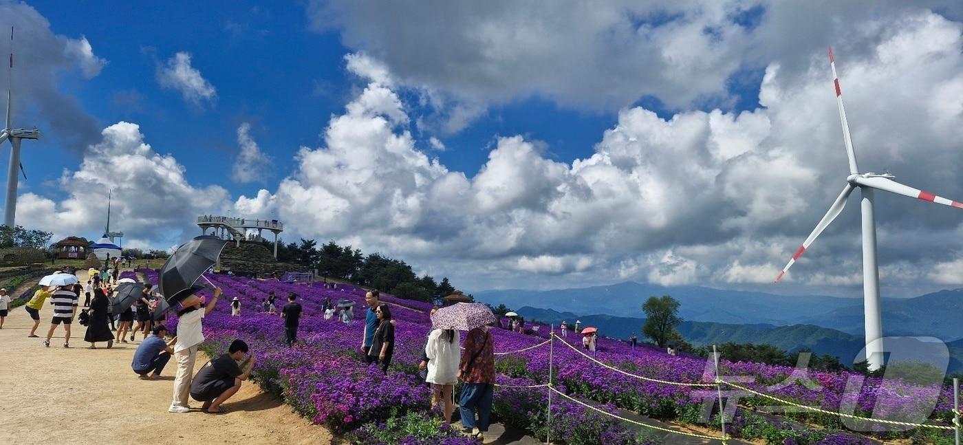 거창 '감악산 꽃&별 여행' 행사장(거창군 제공).