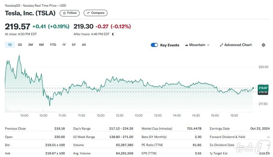 본문 이미지 - 테슬라 일일 주가추이 - 야후 파이낸스 갈무리