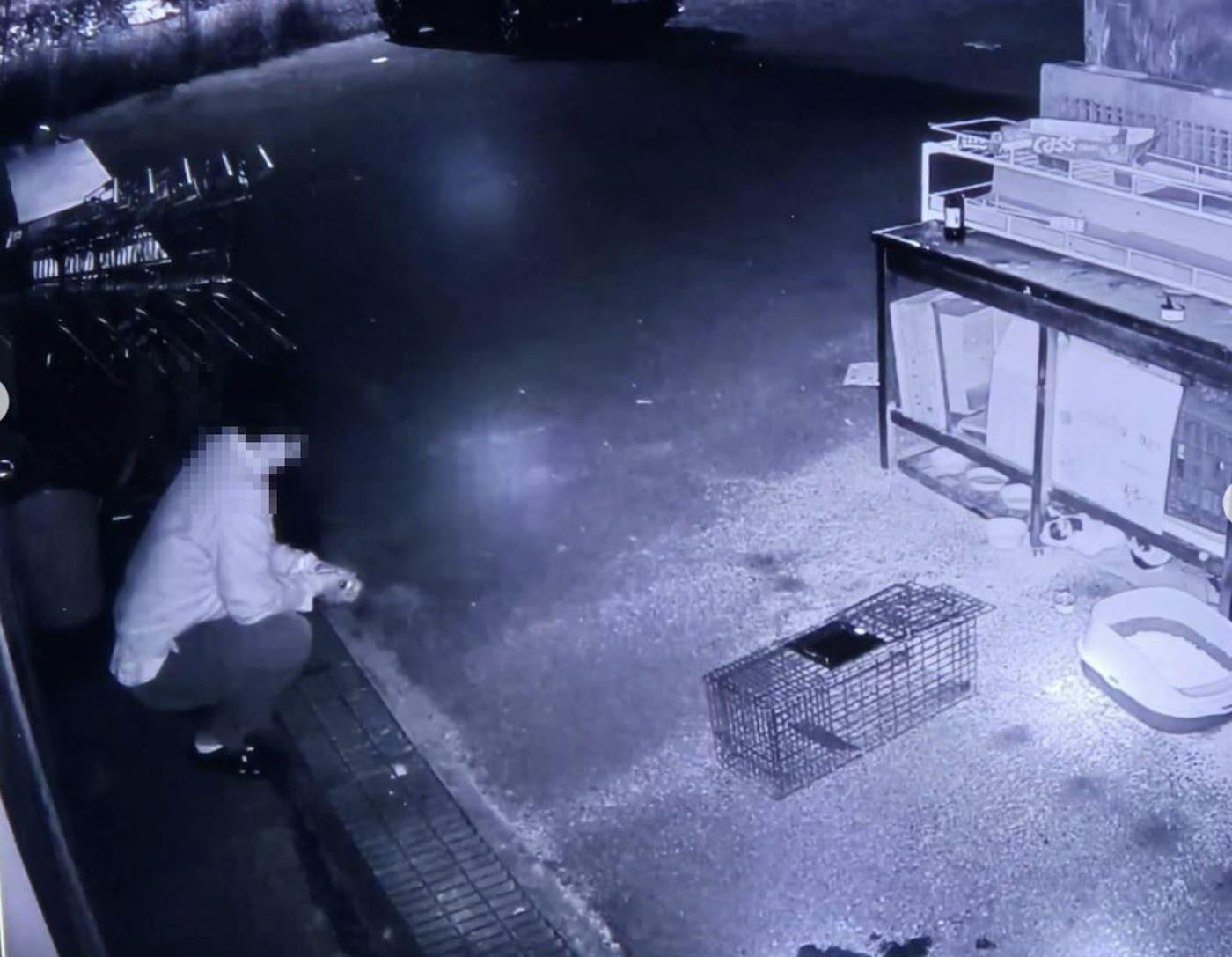 본문 이미지 - 길고양이를 포획하기 위해 기다리는 남성의 모습이 CCTV에 촬영됐다. (동아이 SNS)