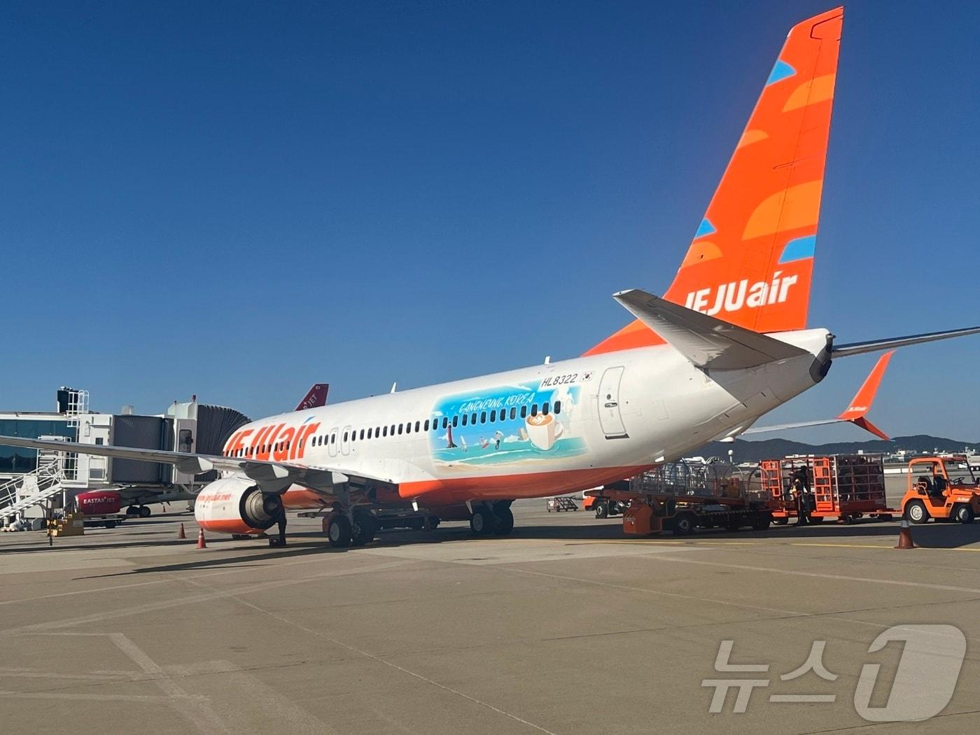 본문 이미지 - 인천발 삿포로행 제주항공 소속기에 부착된 강릉관광 래핑광고.(강릉관광개발공사 제공) 2024.10.16/뉴스1