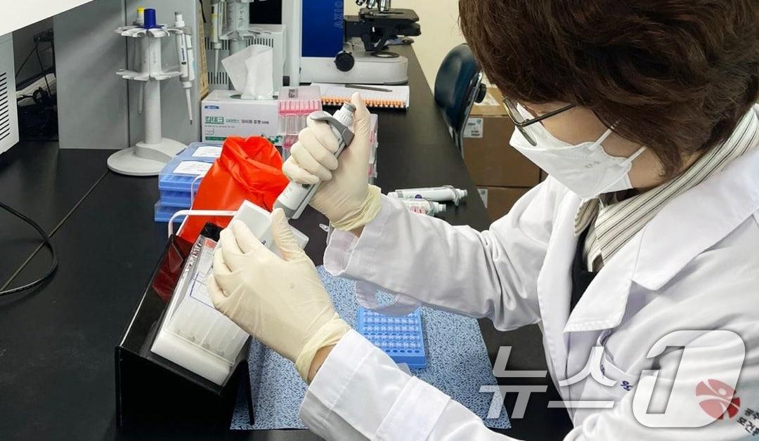 본문 이미지 - (사진은 기사 내용과 무관함) / 뉴스1 ⓒ News1