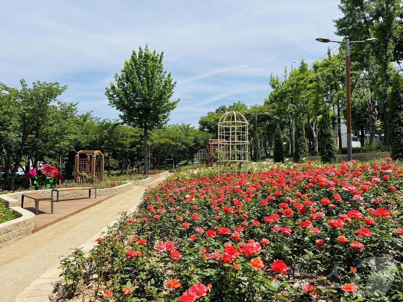 본문 이미지 - 그린웨이 (대구 서구 제공)