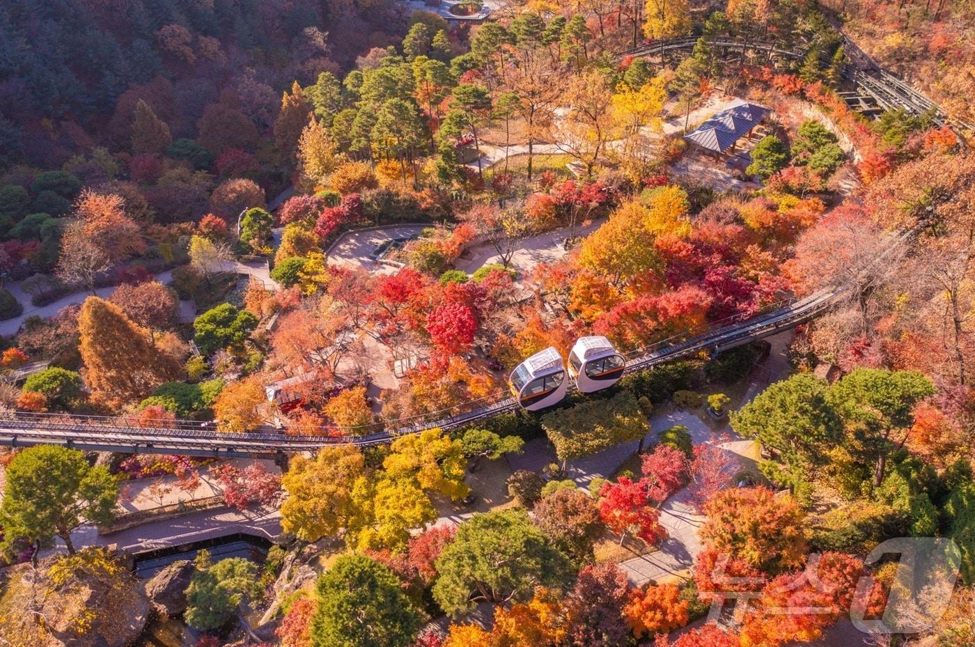 화담숲 '2024년 가을 단풍 축제' (곤지암리조트 제공)