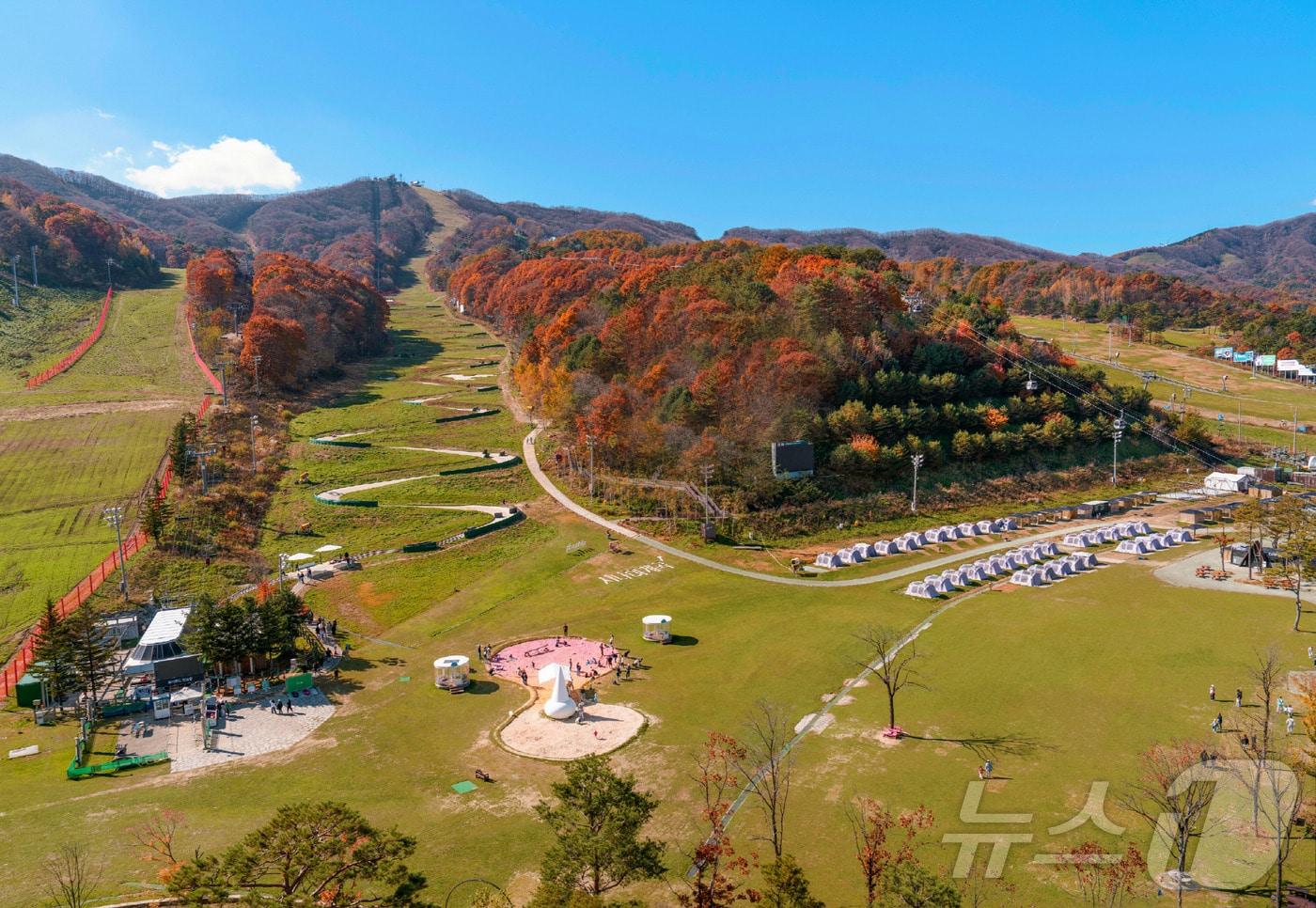 평창 휘닉스파크의 가을 풍경.(휘닉스파크 제공) 2024.10.17/뉴스1
