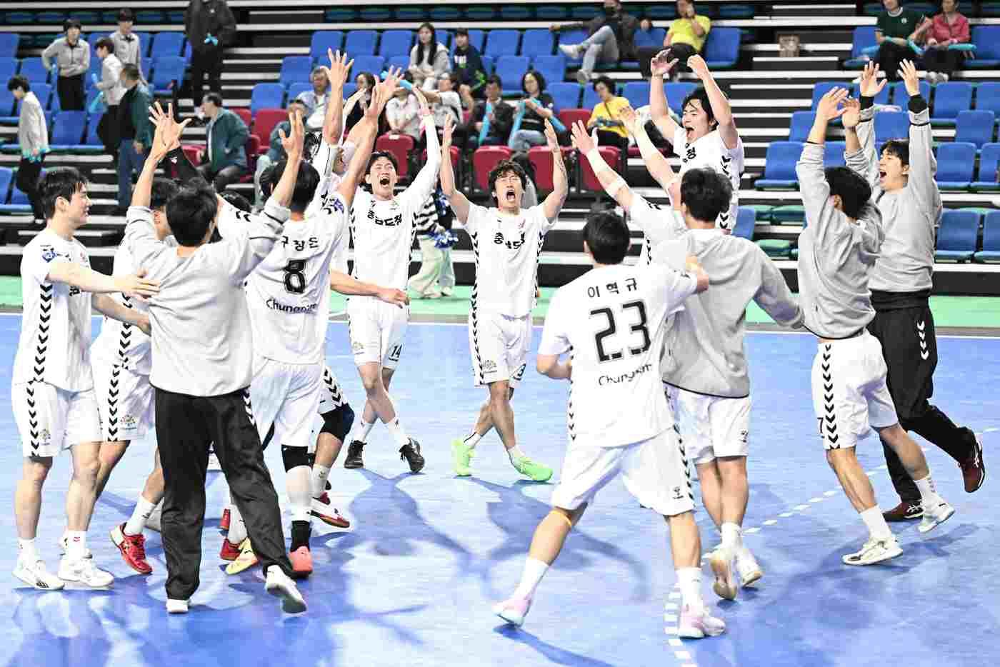  전국체전 첫 우승을 차지한 충남도청( 대한핸드볼협회 제공)