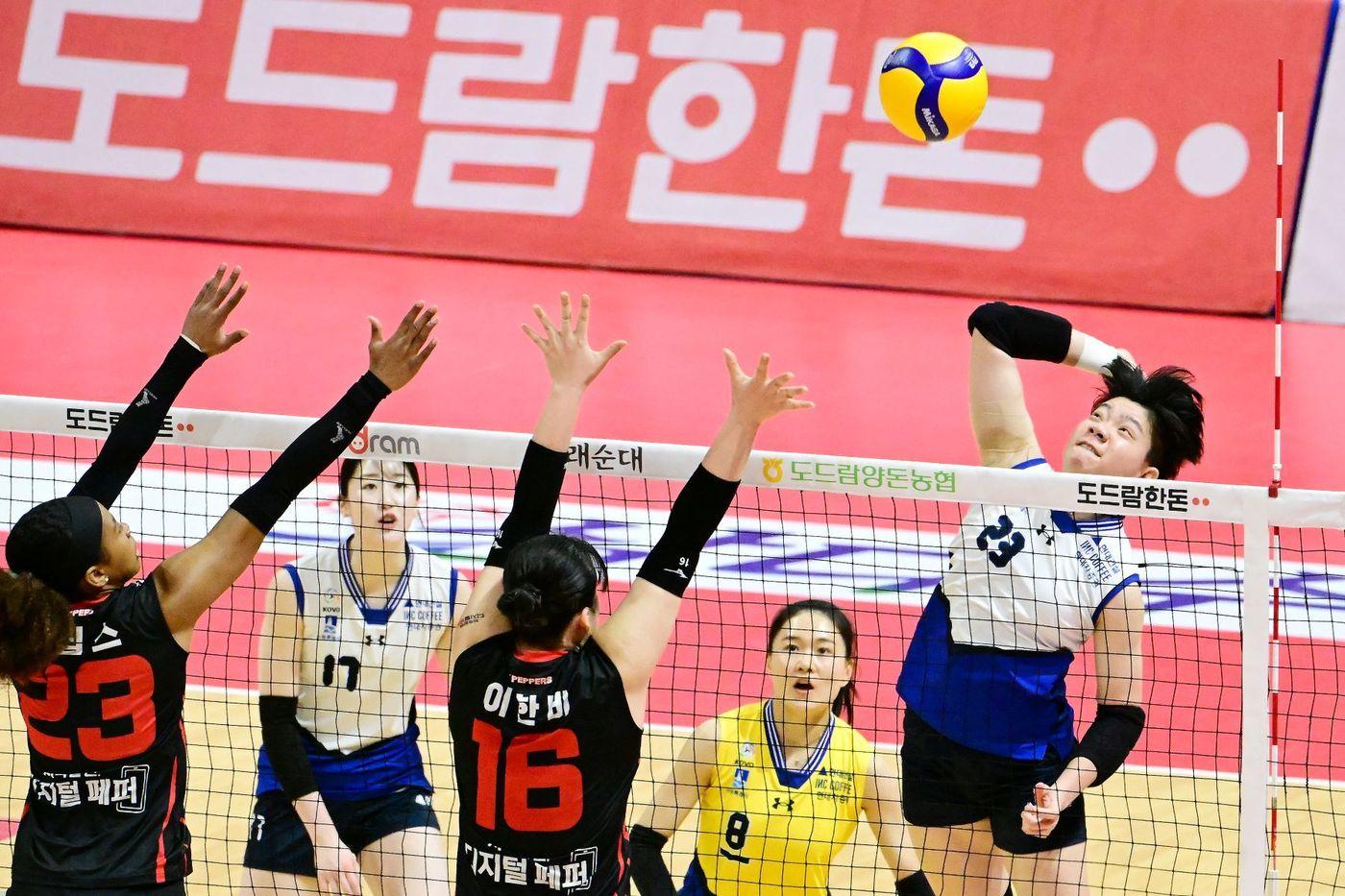 도드람이 19일 인천 계양체육관에서 열리는 '도드람 2024~2025 V-리그' 개막전에서 타이틀스폰서로서 다양한 프로모션을 진행한다.(도드람 제공)