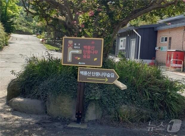 본문 이미지 - 마을관광안내도와 도로 설명판이 설치된 영암군 명동마을.&#40;전남경찰청 제공&#41; 2024.10.2/뉴스1