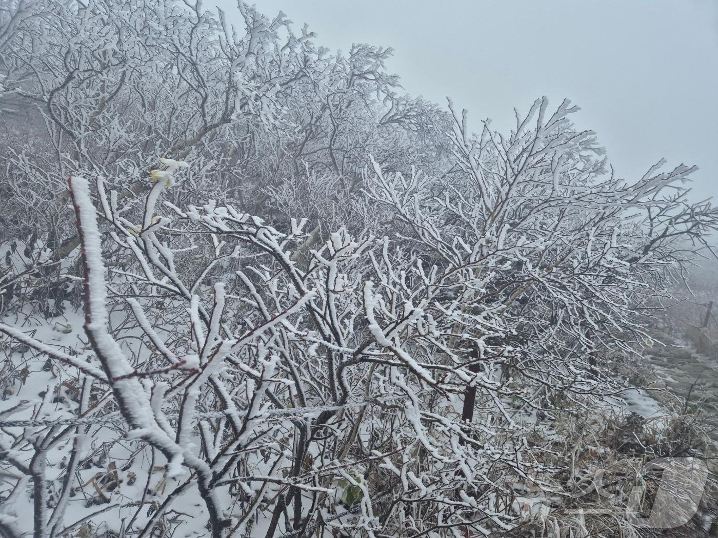 본문 이미지 - 기사 이해를 돕기 위한 강원 설악산국립공원 자료 사진으로 기사 내용과 직접 관련 없음. (독자 제공. 재판매 및 DB금지)/뉴스1