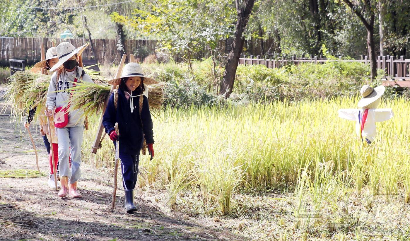 &#40;사진은 기사 내용과 무관함&#41; / 뉴스1 ⓒ News1