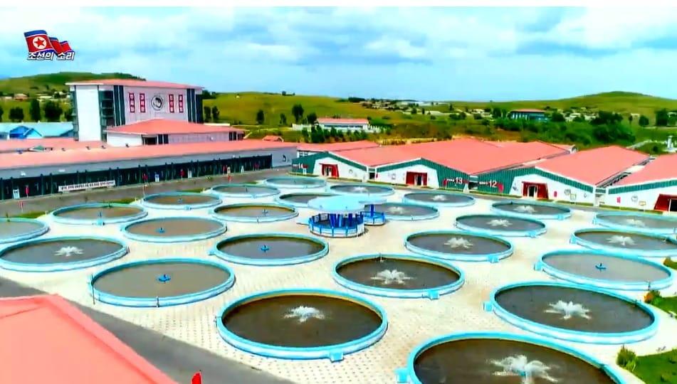 본문 이미지 - 북한 대외 선전 매체 '조선의 소리' 17일자 영상 '양어의 집약화' 갈무리