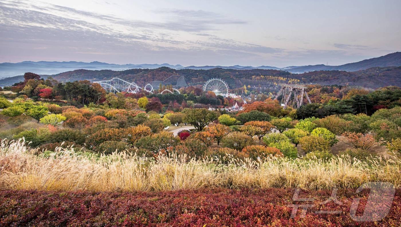 에버랜드 하늘정원길 정상에서 내려다 본 단풍 경관.(에버랜드 제공)