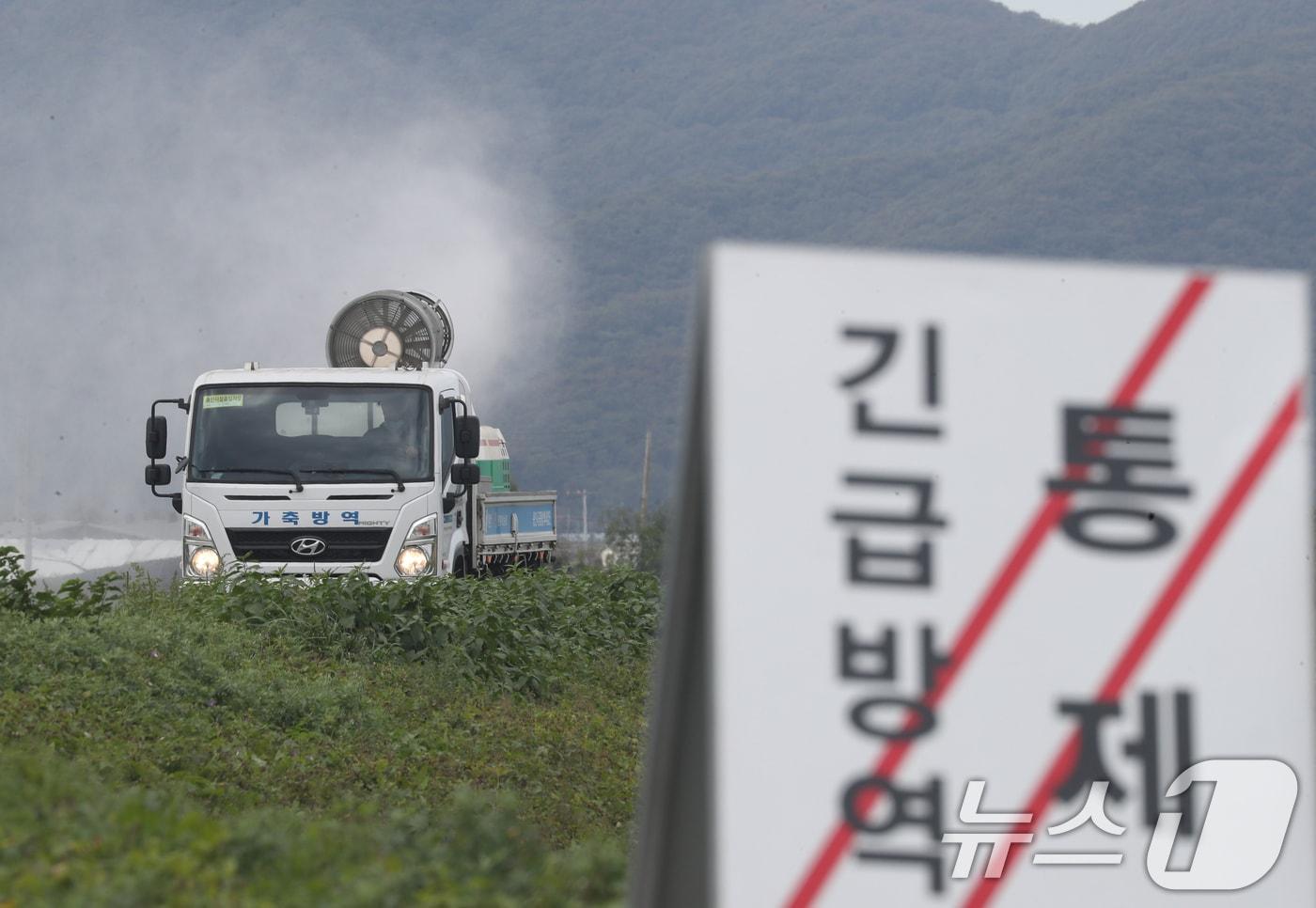 &#40;사진은 기사 내용과 무관함&#41; 2024.10.21/뉴스1 ⓒ News1 김영운 기자