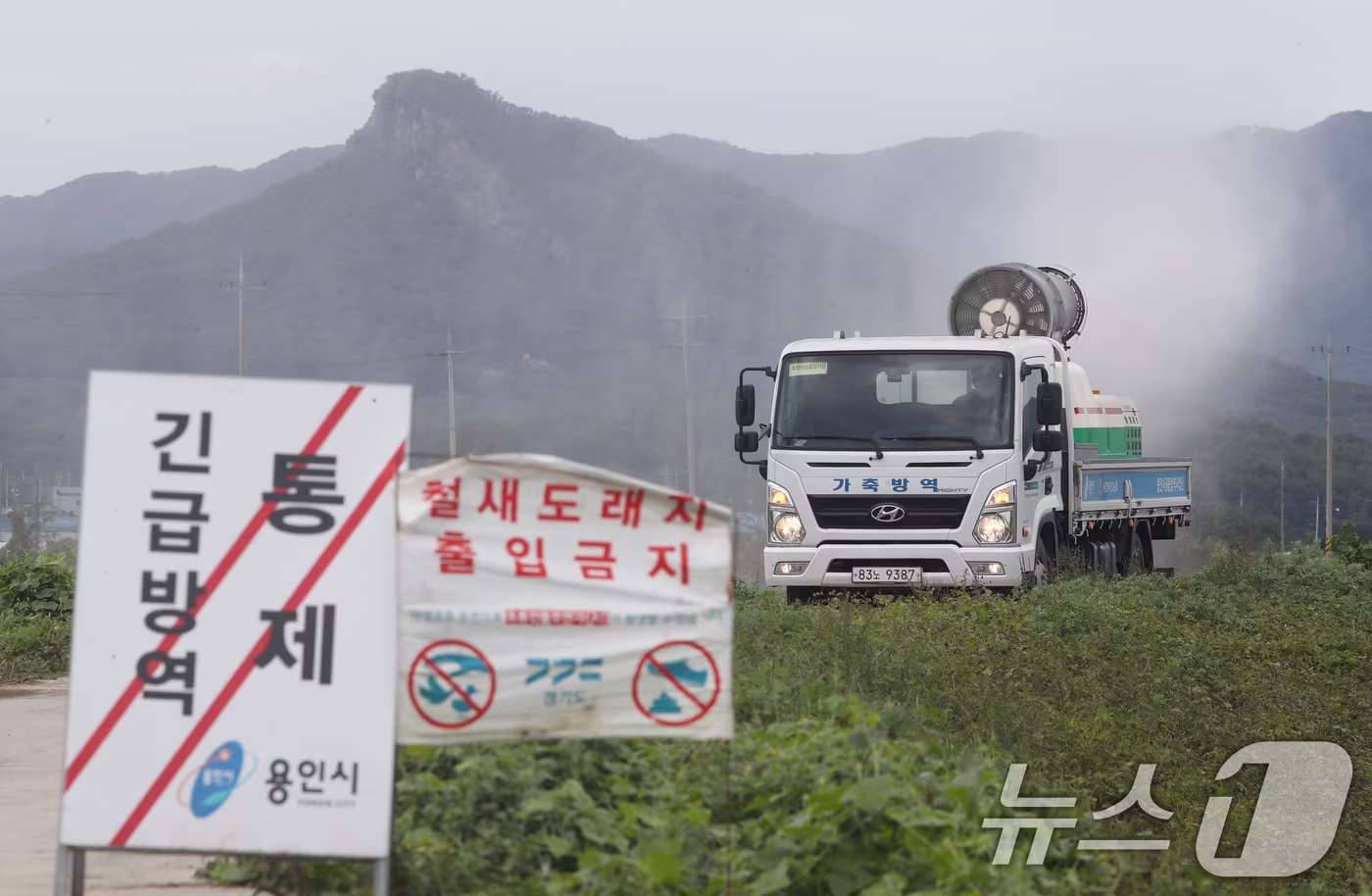 자료사진/뉴스1 ⓒ News1 김영운 기자