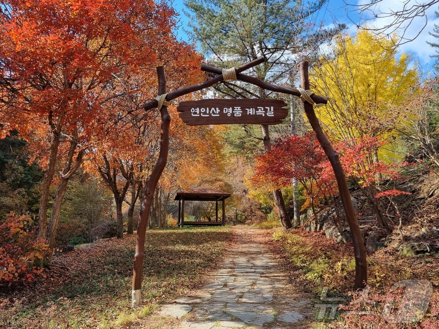 본문 이미지 -  가평 &#39;연인산 명품 계곡길&#39;&#40;산림청 제공&#41;/뉴스1