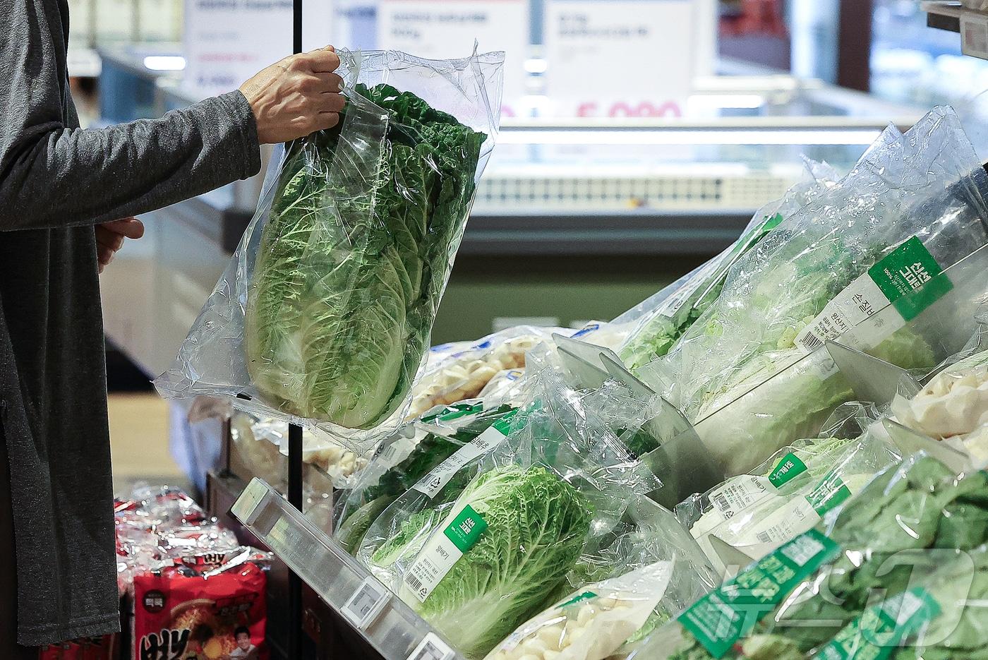 김장철을 앞두고 배추, 무 등 김장 채소 가격이 1년 전보다 높은 수준으로 나타났다. 한국농수산식품유통공사(aT)에 따르면 지난 18일 기준 배추(상품) 소매가격은 포기당 평균 9천123원으로 조사됐다.  2024.10.21/뉴스1 ⓒ News1 김진환 기자