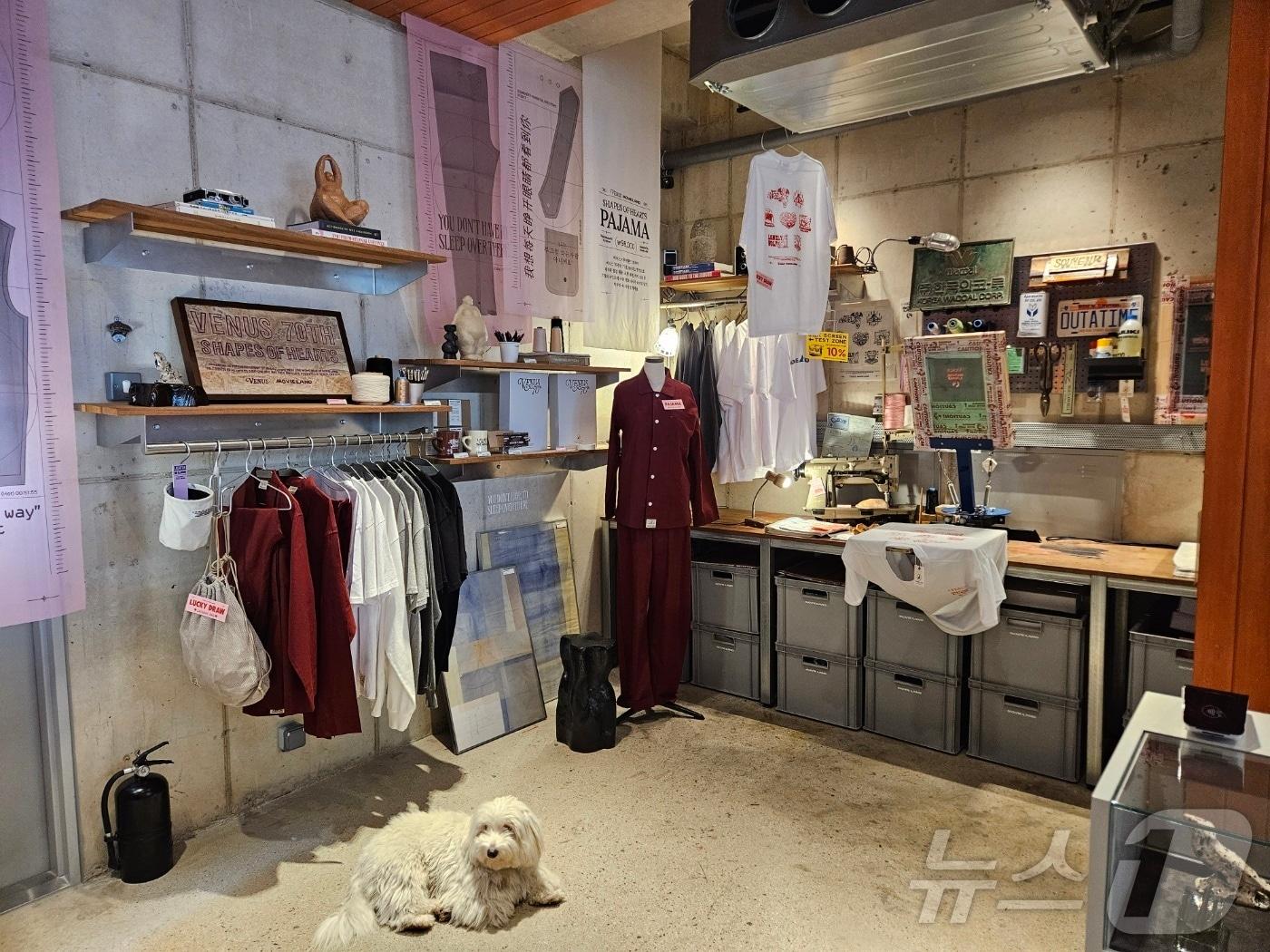 본문 이미지 - 언더웨어 브랜드 신영와코루 비너스가 21일 서울 성수동 소재 무비랜드에서 팝업 스토어를 개최했다.ⓒ 뉴스1/김진희 기자.