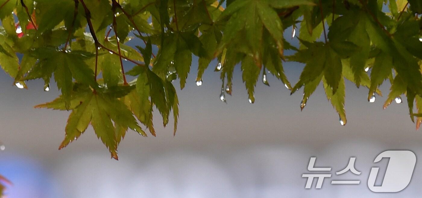 (사진은 기사 내용과 무관함) / 뉴스1 ⓒ News1