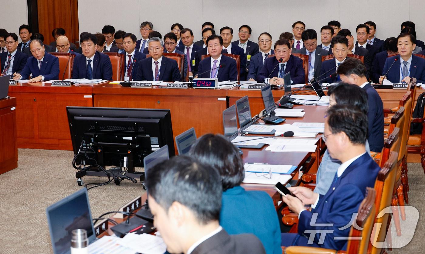 본문 이미지 - 22일 오전 서울 여의도 국회에서 산업통상자원중소벤처기업위원회의 중소벤처기업진흥공단·기술보증기금·소상공인시장진흥공단 등 국정감사가 진행되고 있다. 2024.10.22/뉴스1 ⓒ News1 안은나 기자