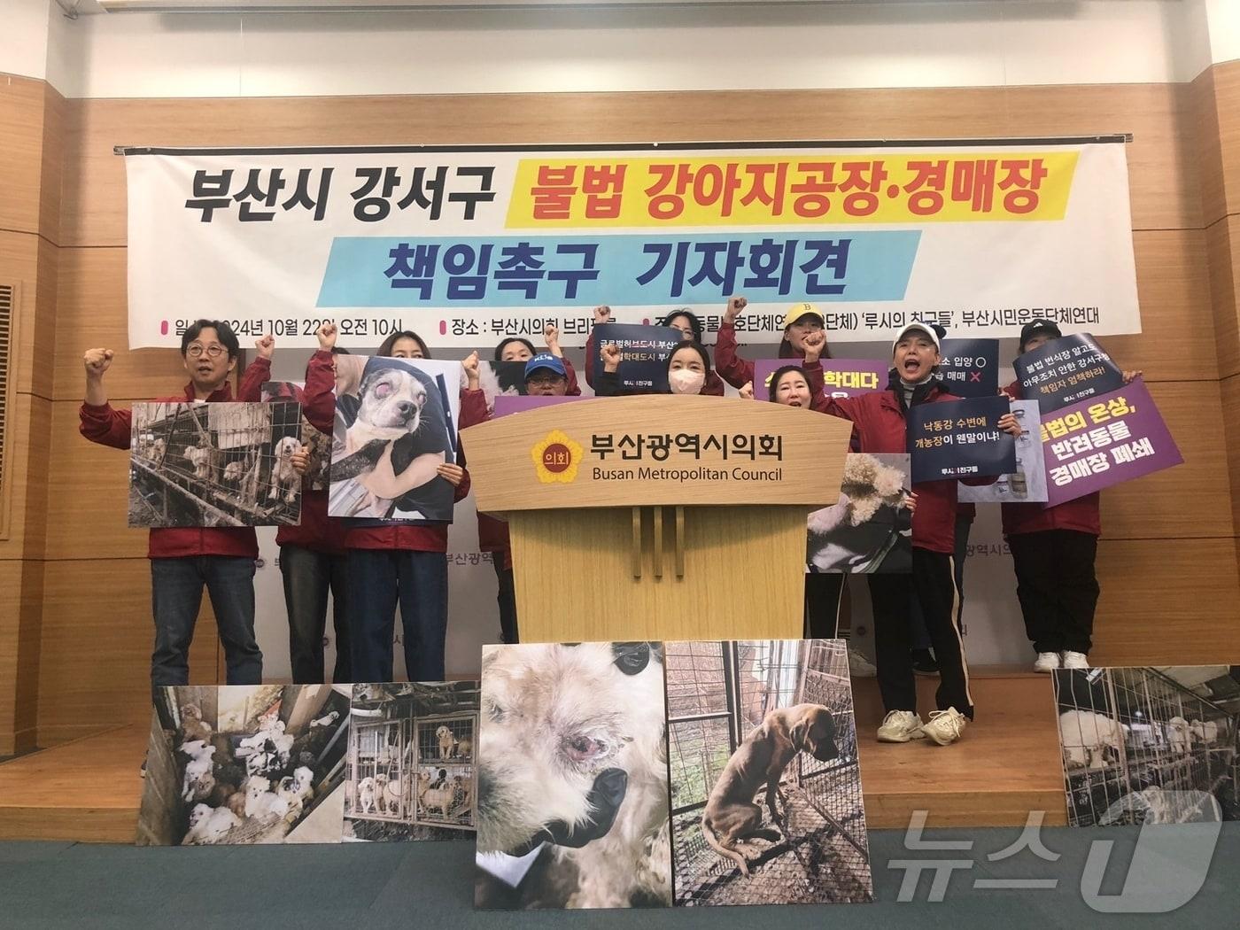 본문 이미지 - 22일 오전 부산시의회에서 동물보호단체가 최근 벌어진 강아지 불법 번식장 사건에 대한 강서구청의 책임을 촉구하는 기자회견을 하고 있다.(루시의친구들 제공)