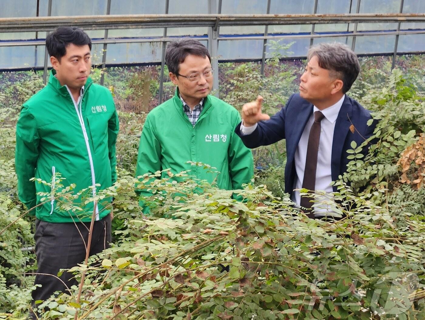 본문 이미지 - 오른쪽부터 케어팜 김태준 대표, 산림청 박은식 산림산업정책국장, 산림청 김관호 산림정책과장.(산림청 제공)/뉴스1