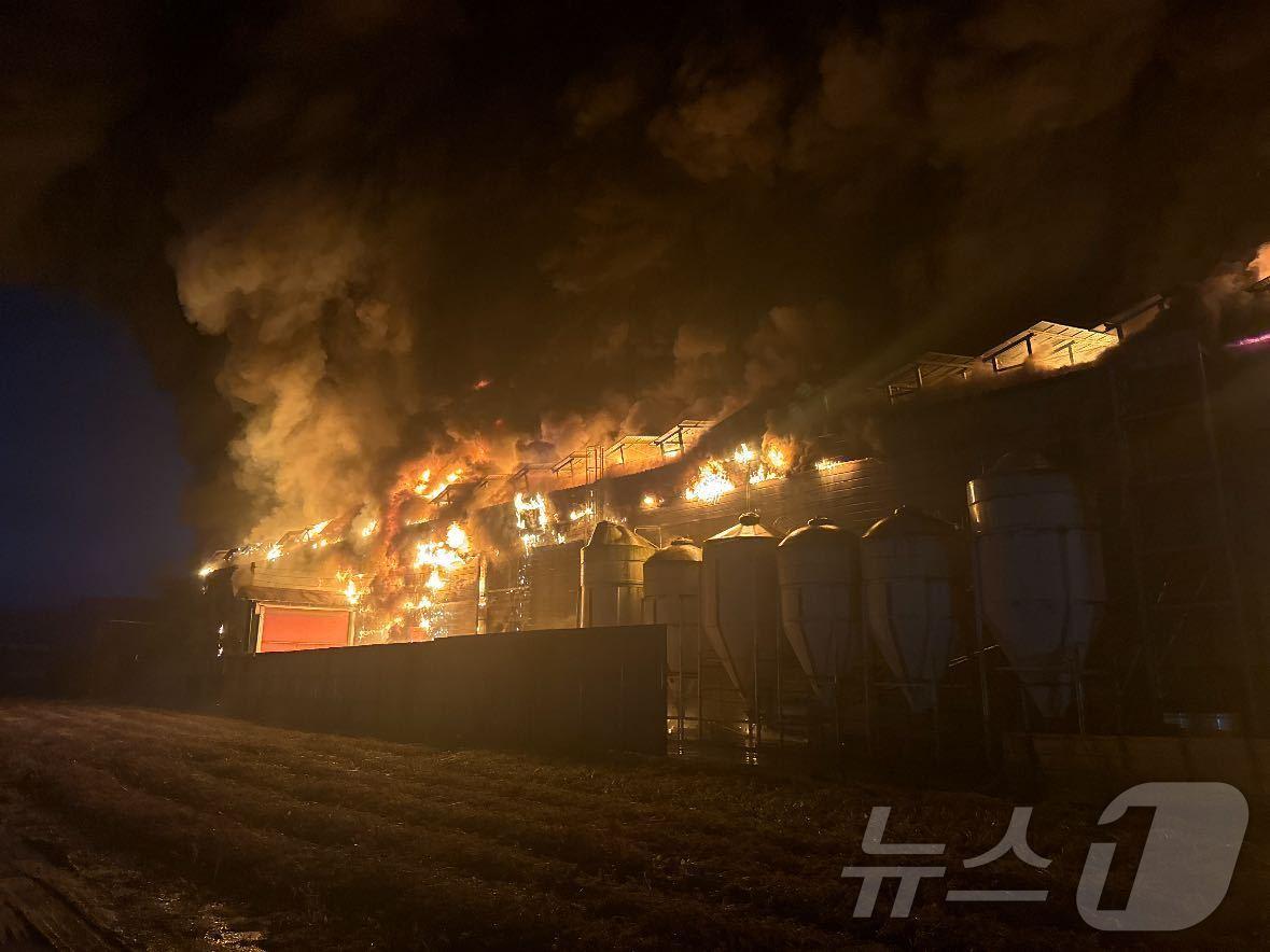 본문 이미지 - 22일 오후 5시 52분쯤 강원 춘천시 신북읍의 한 양계장에서 불이 나 소방당국이 3시간 55분 만인 오후 9시 47분쯤 진화했다. (강원도 소방본부 제공) 2024.10.22/뉴스1