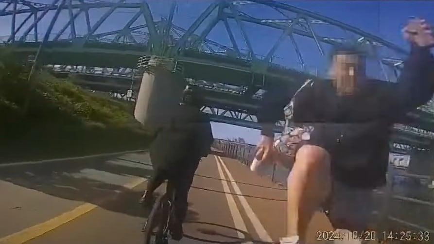 본문 이미지 - (JTBC '사건반장')