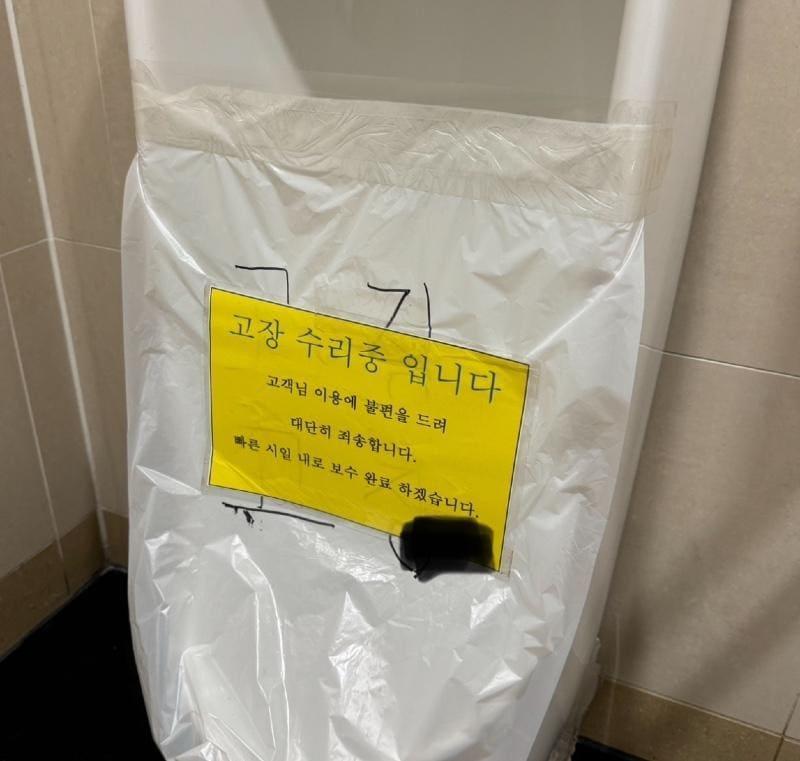 본문 이미지 - (보배드림 갈무리)