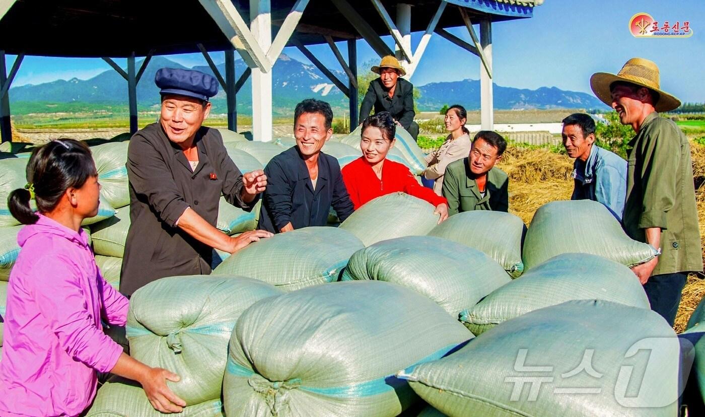 (평양 노동신문=뉴스1) = 북한 노동당 기관지 노동신문은 24일 "모든 힘을 집중하여 올해 농사결속을 앞당기자"며 "쌀로써 당을 받들고 우리 혁명을 보위하려는 농업부문 일꾼들과 근로자들의 헌신적인 투쟁에 의하여 다른 농촌들에서도 국가알곡수매가 성과적으로 추진되고 있다'라고 전했다. [국내에서만 사용가능. 재배포 금지. DB 금지. For Use Only in the Republic of Korea. Redistribution Prohibited] rodongphoto@news1.kr