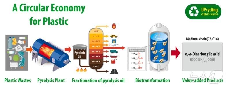 본문 이미지 - 화학·생물학적 신융합공정 개념도. (에너지연 제공) /뉴스1
