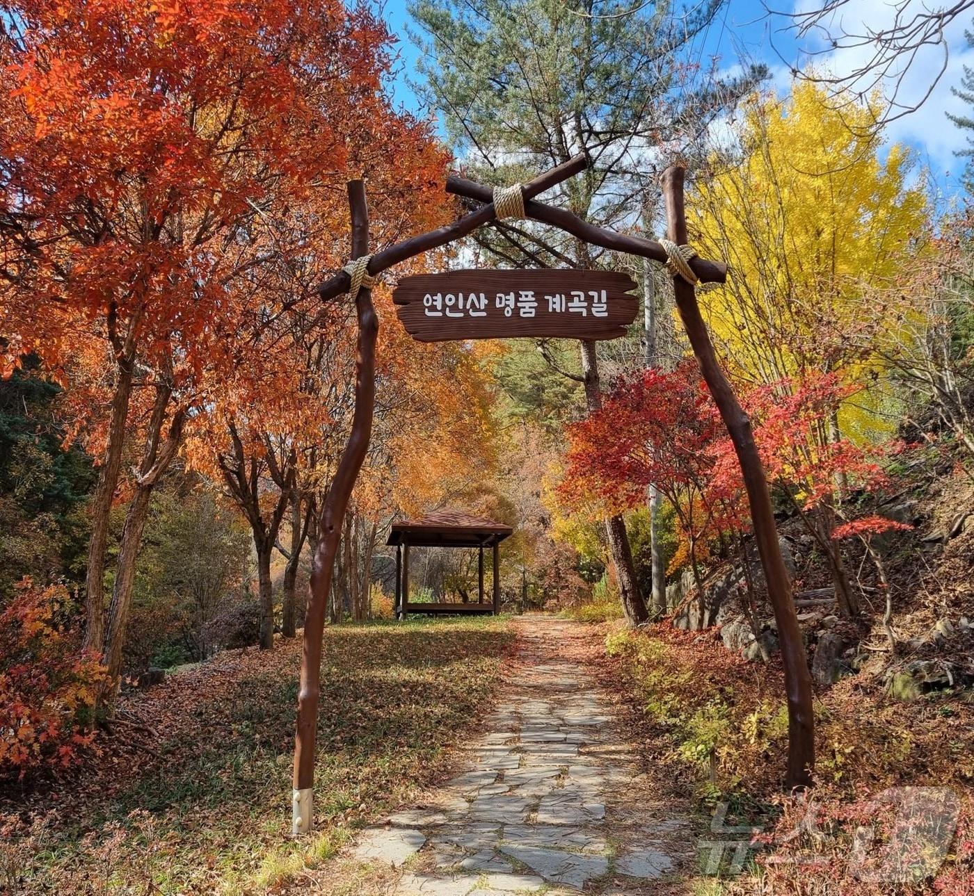 본문 이미지 - 가평 연인산 명품 계곡길 자료사진.(경기도 제공)