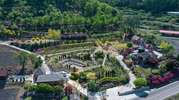 본문 이미지 - 괴산 트리하우스가든.(괴산군 제공)/뉴스1