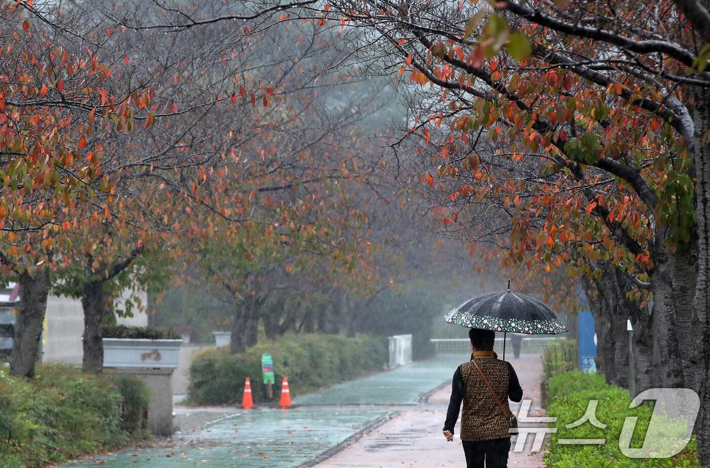 본문 이미지 - 부산에 가을비가 내리는 28일 오후 부산 금정구 스포원파크 금정체육공원에서 우산을 쓴 시민이 이동하고 있다. 2024.10.28/뉴스1 ⓒ News1 윤일지 기자