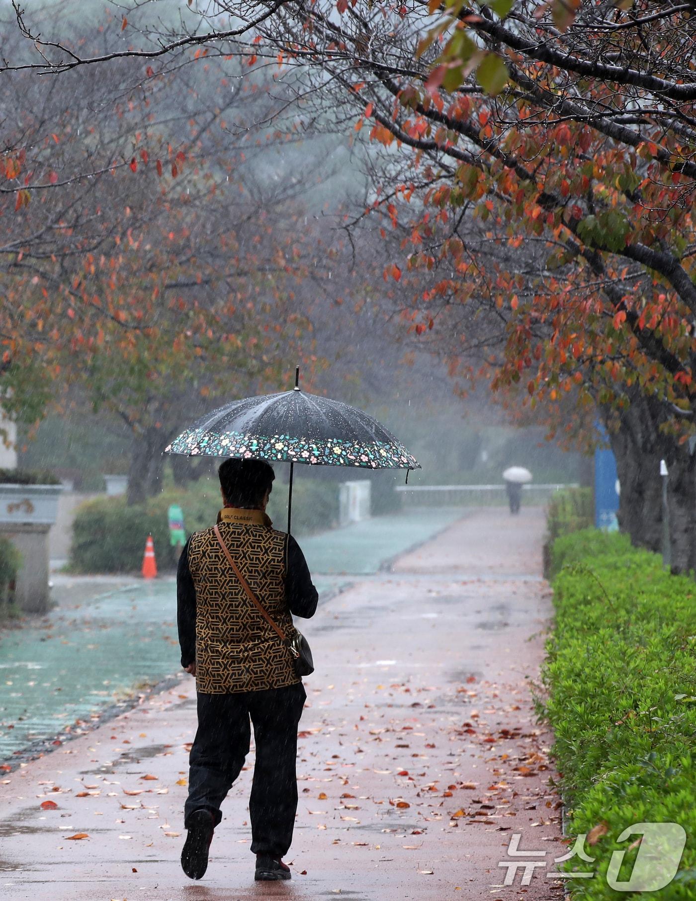 본문 이미지 - 부산 금정구 스포원파크 금정체육공원에서 우산을 쓴 시민이 이동하고 있다. 2024.10.28/뉴스1 ⓒ News1 윤일지 기자