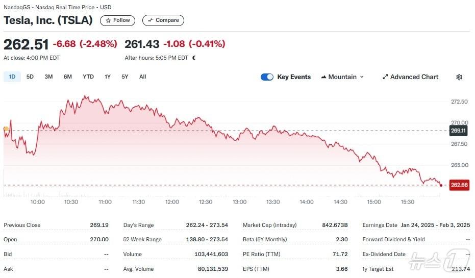 본문 이미지 - 테슬라 일일 주가추이 - 야후 파이낸스 갈무리