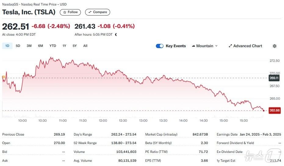 본문 이미지 - 테슬라 일일 주가추이 - 야후 파이낸스 갈무리